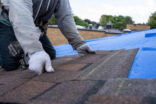 Best Commercial Roof Installation  in Lambertville, NJ