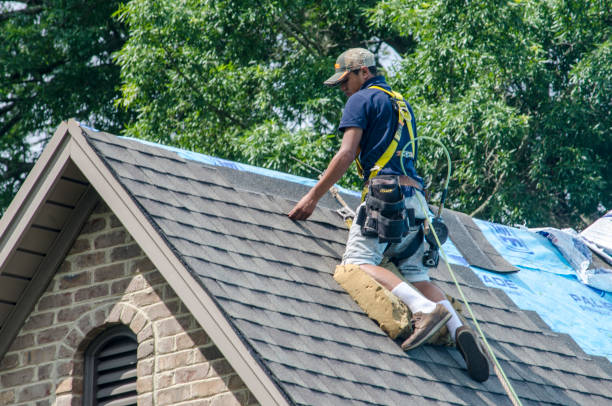 Best Commercial Roofing Services  in Lambertville, NJ